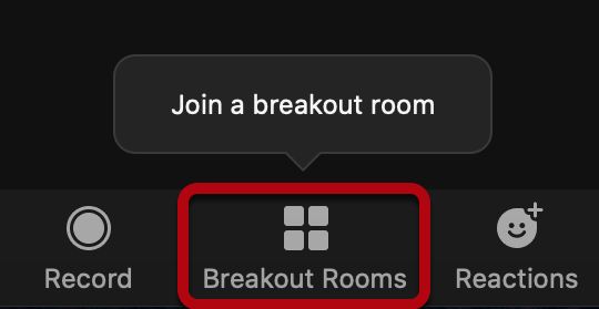 illustration of Zoom Breakout Rooms icon